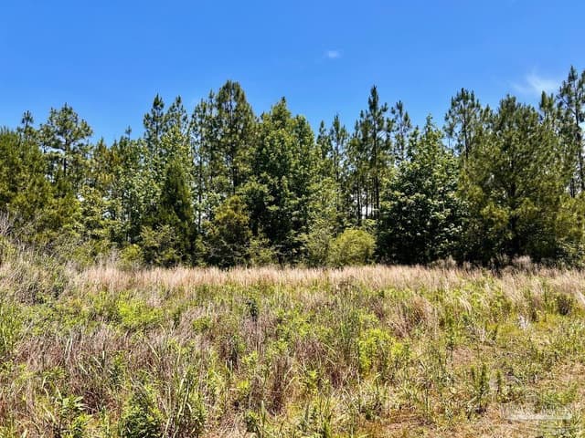 Lot 51 Mineral Springs Rd, Jay FL 32565 photo 8
