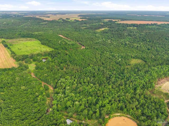 Lot 1 Mineral Springs Rd, Jay FL 32565 photo 6