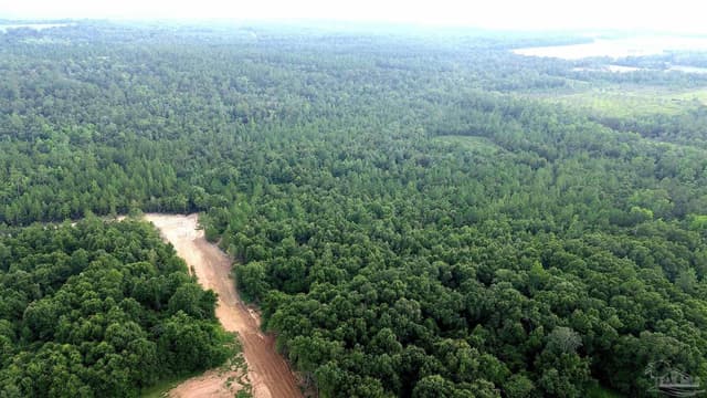Lot 1 Mineral Springs Rd property photo