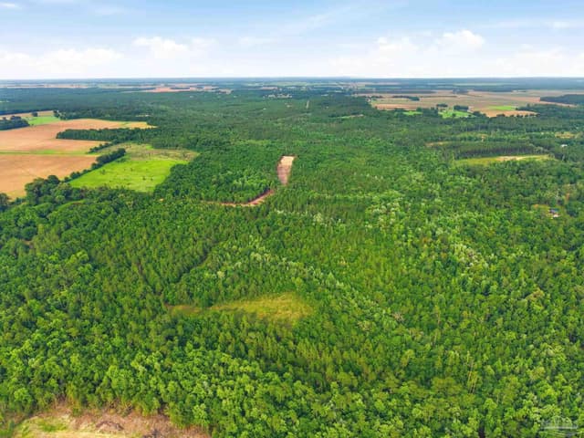 Lot 1 Mineral Springs Rd, Jay FL 32565 photo 5