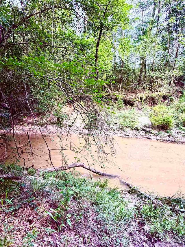 Lot 1 Mineral Springs Rd, Jay FL 32565 photo 11