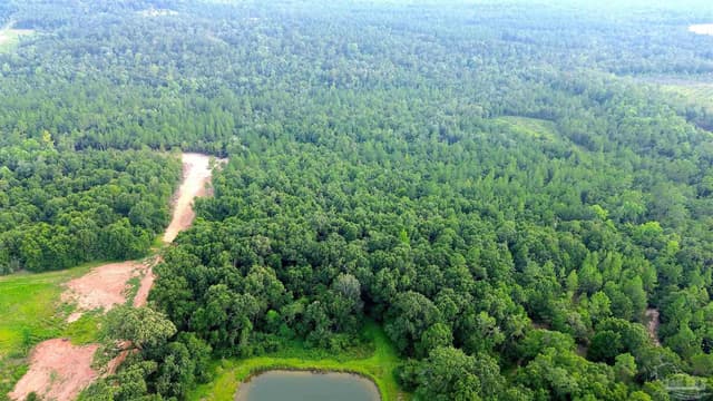 Lot 1 Mineral Springs Rd property photo