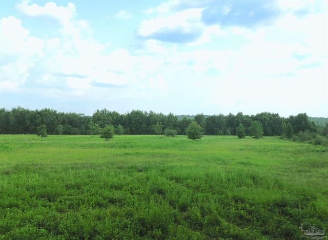 Lot 2 Mineral Springs Rd, Jay FL 32565 photo 6