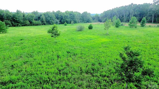 Lot 2 Mineral Springs Rd, Jay FL 32565 photo 3