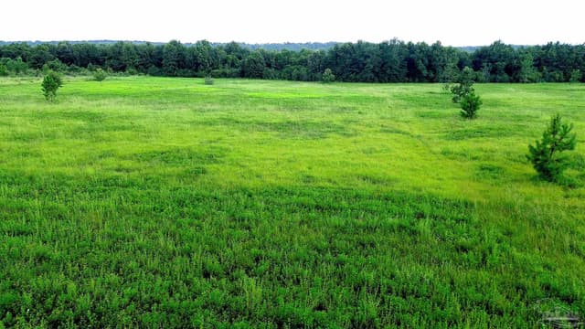 Lot 2 Mineral Springs Rd property photo