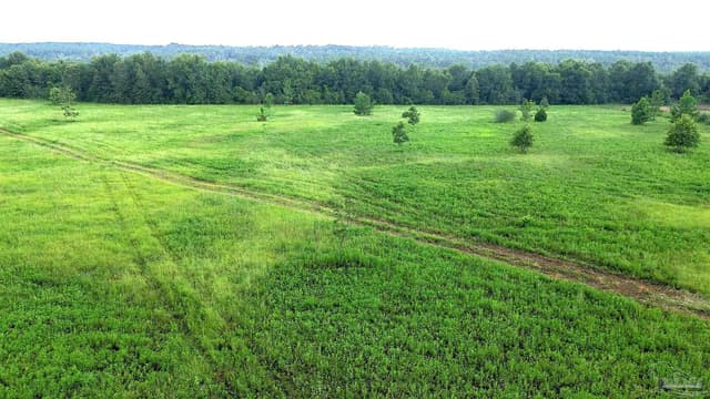 Lot 3 Mineral Springs Rd, Jay FL 32565 photo 6