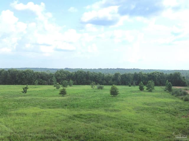 Lot 3 Mineral Springs Rd, Jay FL 32565 photo 7
