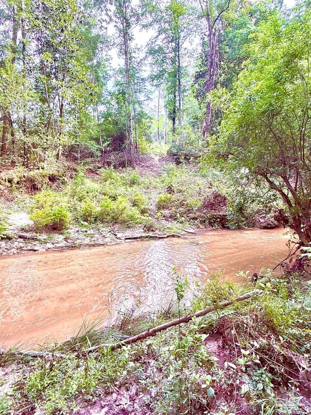 Lot 3 Mineral Springs Rd, Jay FL 32565 photo 14