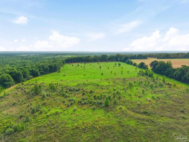 Lot 3 Mineral Springs Rd, Jay FL 32565 photo 8