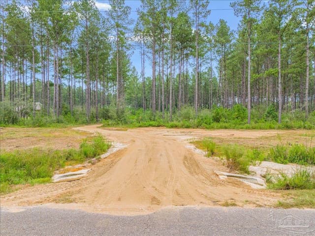 1403 Mineral Springs Rd, Jay FL 32565 photo 6