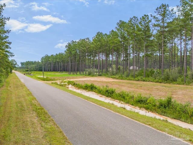 1403 Mineral Springs Rd, Jay FL 32565 photo 5