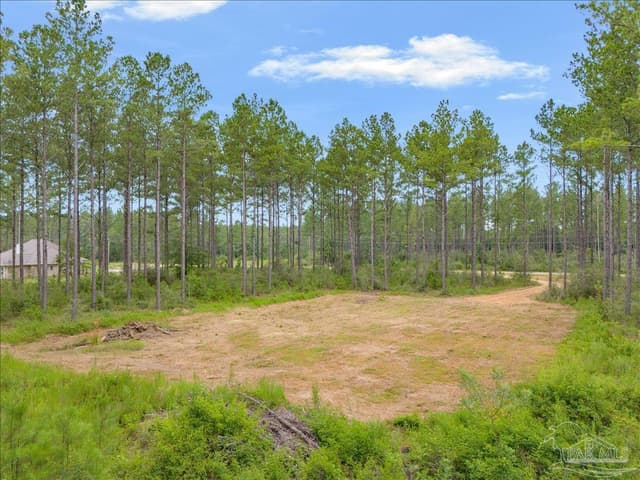 1403 Mineral Springs Rd, Jay FL 32565 photo 9
