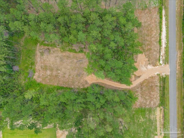 1403 Mineral Springs Rd, Jay FL 32565 photo 10