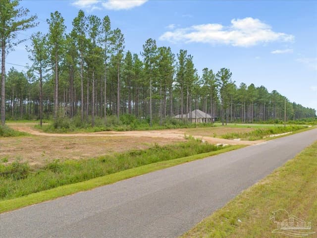 1403 Mineral Springs Rd property photo