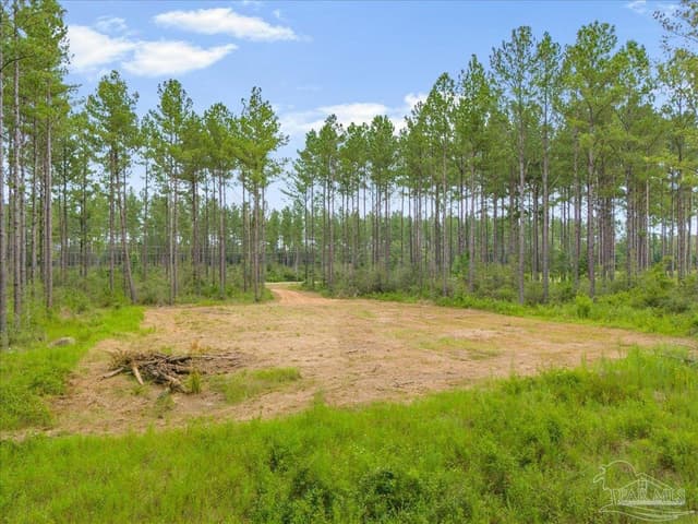 1403 Mineral Springs Rd, Jay FL 32565 photo 8