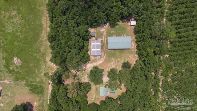 3101 Breastworks Rd, Mcdavid FL 32568 photo 42