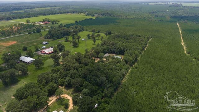 3101 Breastworks Rd, Mcdavid FL 32568 photo 38