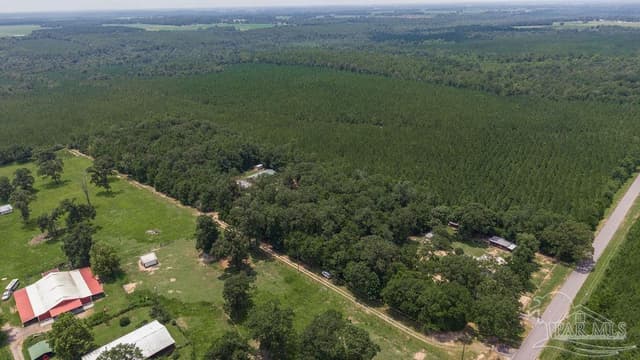 3101 Breastworks Rd, Mcdavid FL 32568 photo 41