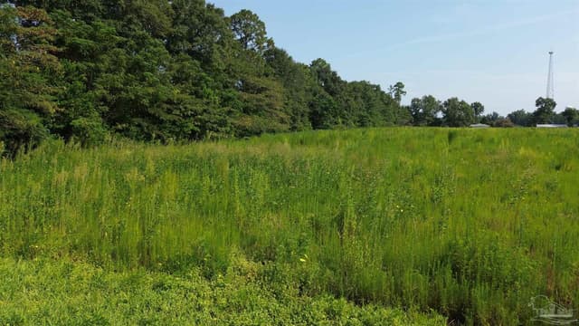 Lot 20 Cotton Top Ln, Milton FL 32570 photo 9