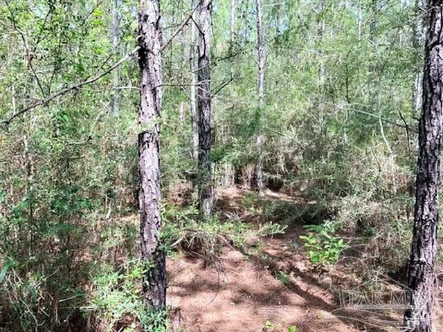 Lot 35 MBN Molino Bridge Rd, Pace FL 32571 photo 6