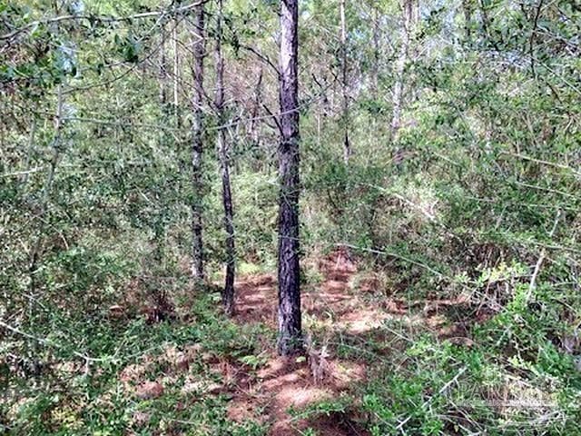 Lot 35 MBN Molino Bridge Rd, Pace FL 32571 photo 7