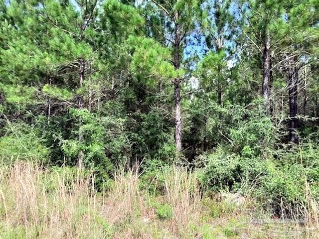Lot 35 MBN Molino Bridge Rd property photo
