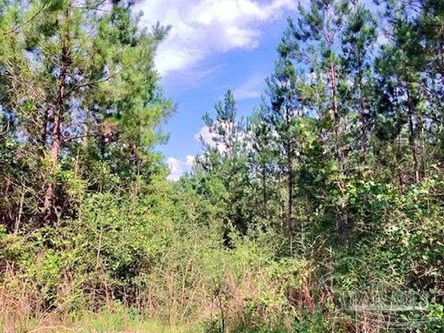 Lot 35 MBN Molino Bridge Rd property photo