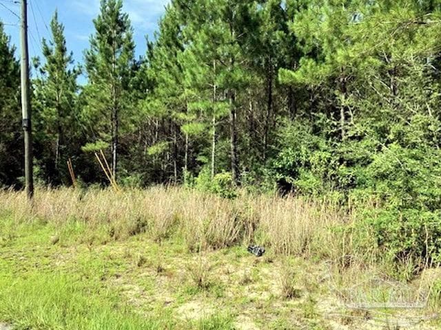 Lot 35 MBN Molino Bridge Rd, Pace FL 32571 photo 8