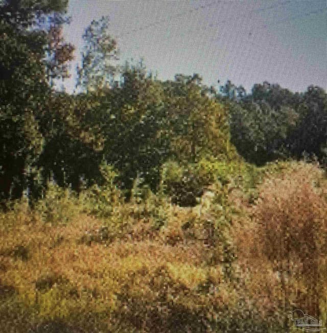 7410 Floyd Dr property photo