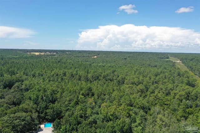 Hamilton Bridge Rd, Milton FL 32570 photo 23