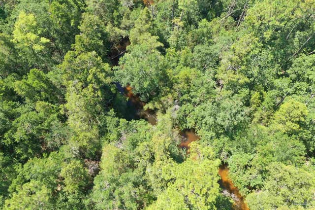 Hamilton Bridge Rd, Milton FL 32570 photo 42
