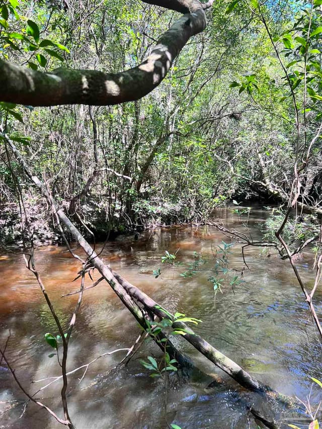 Hamilton Bridge Rd, Milton FL 32570 photo 12