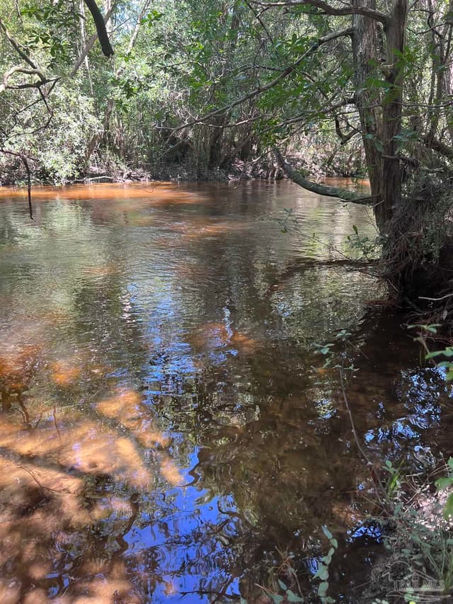 Hamilton Bridge Rd, Milton FL 32570 photo 3