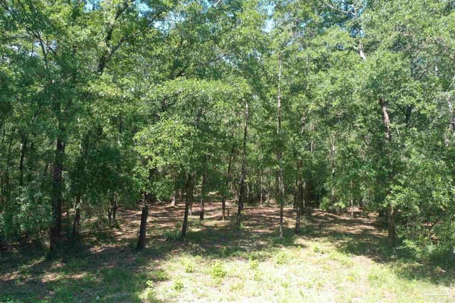 Hamilton Bridge Rd, Milton FL 32570 photo 32