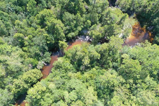 Hamilton Bridge Rd, Milton FL 32570 photo 28