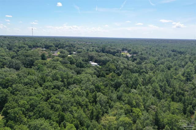 Hamilton Bridge Rd, Milton FL 32570 photo 20
