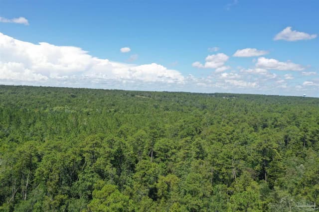 Hamilton Bridge Rd, Milton FL 32570 photo 38