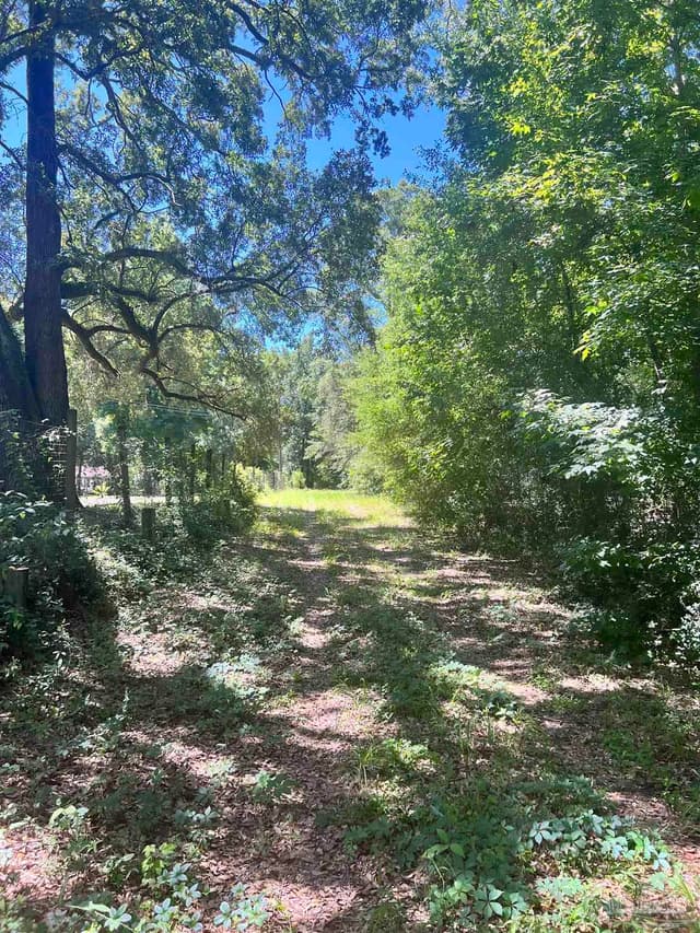 Hamilton Bridge Rd, Milton FL 32570 photo 15