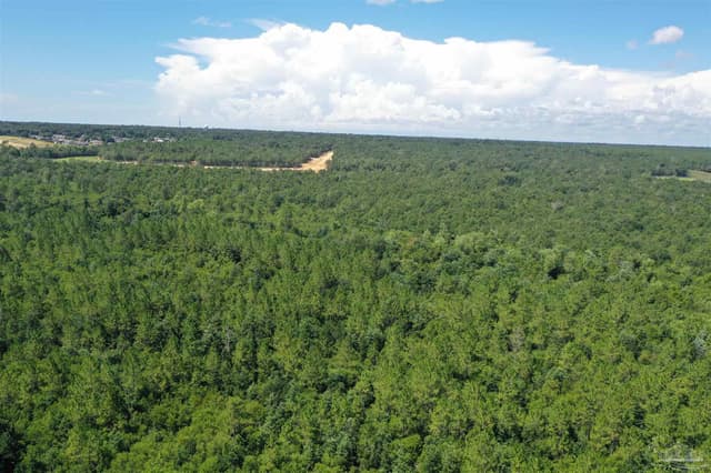Hamilton Bridge Rd, Milton FL 32570 photo 35