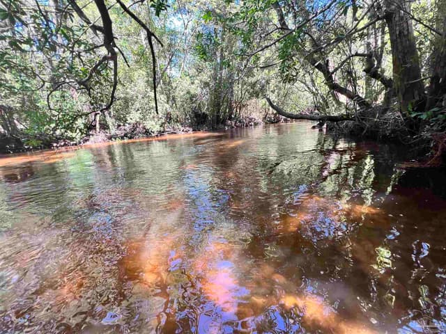 Hamilton Bridge Rd, Milton FL 32570 photo 8
