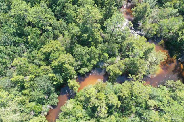 Hamilton Bridge Rd, Milton FL 32570 photo 21
