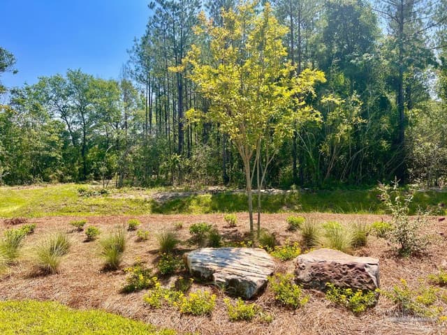 Lot 5 Creekdown Ln, Pace FL 32571 photo 16