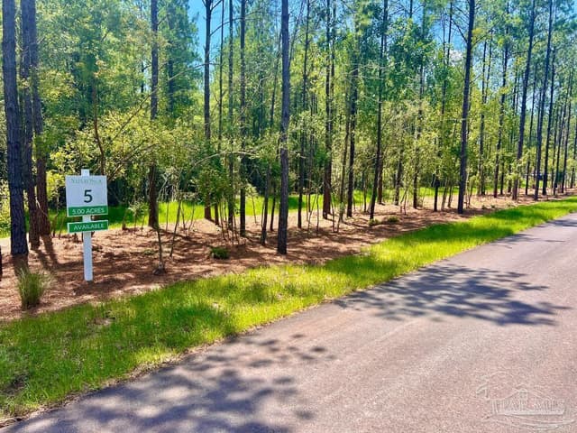 Lot 5 Creekdown Ln, Pace FL 32571 photo 9