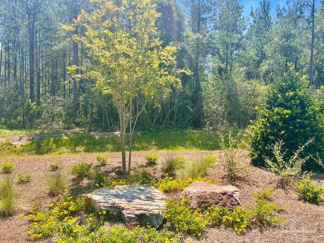 Lot 5 Creekdown Ln, Pace FL 32571 photo 15