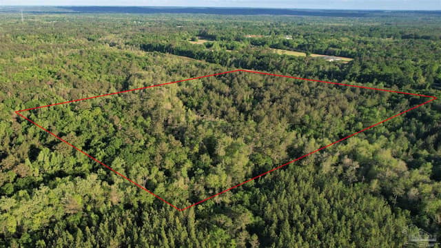 0 Pleasant Hill Rd, Century FL 32535 photo 2