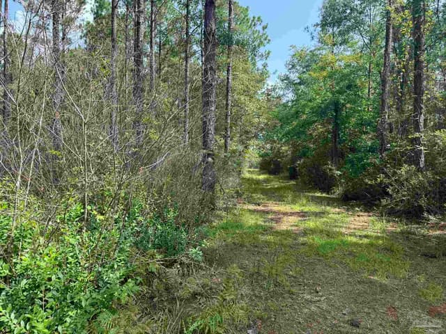 0 Nokomis Rd, Walnut Hill FL 32568 photo 23