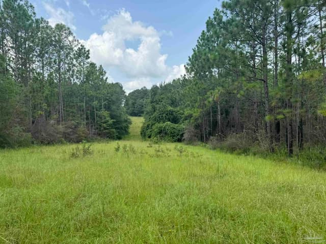 0 Nokomis Rd, Walnut Hill FL 32568 photo 7