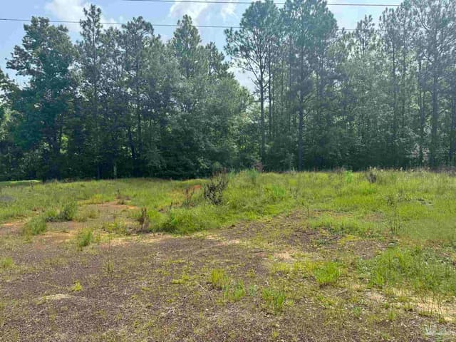 0 Nokomis Rd, Walnut Hill FL 32568 photo 30