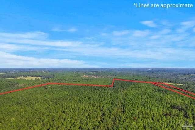 0 Nokomis Rd, Walnut Hill FL 32568 photo 34