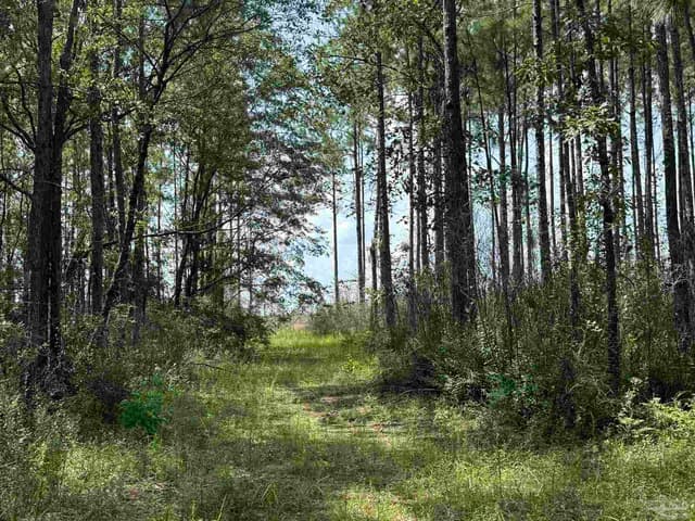 0 Nokomis Rd, Walnut Hill FL 32568 photo 31